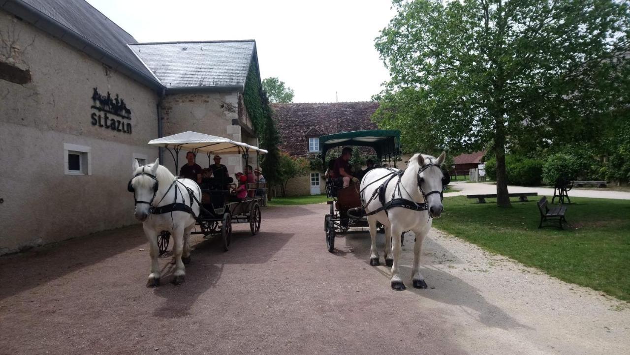 Le Village De Cottages - Le Pole Du Cheval Et De L'Ane Lignieres  Exterior photo