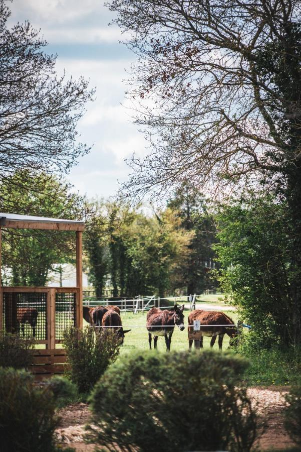 Le Village De Cottages - Le Pole Du Cheval Et De L'Ane Lignieres  Exterior photo